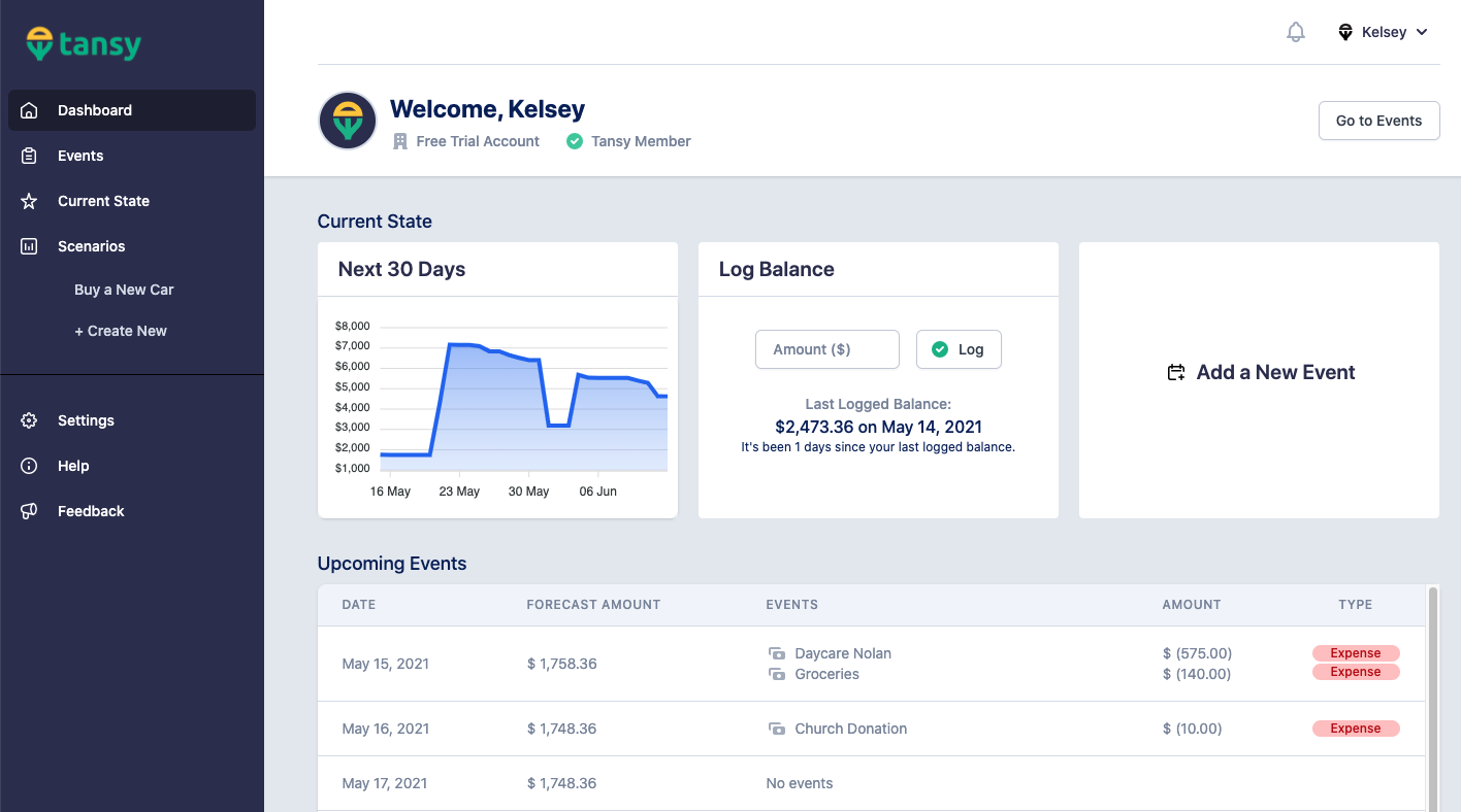 Customer profile user interface